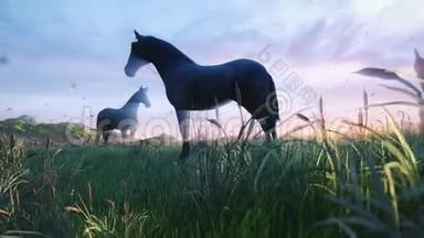 两匹小马在一片美丽的春天早晨，在一片美丽的绿色草地上吃草，早晨的<strong>金色光</strong>芒照亮了这片美丽的春天
